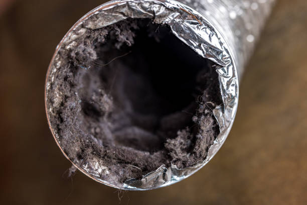 Best Air Duct Sanitizing Services  in Jamaica Beach, TX